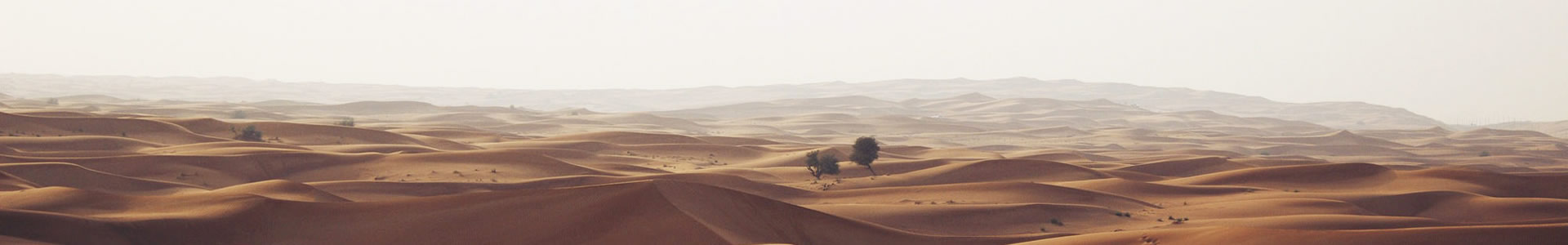 ԴҵƼ޹˾